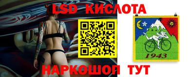 PSILOCYBIN Кунгур
