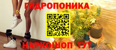 PSILOCYBIN Кунгур