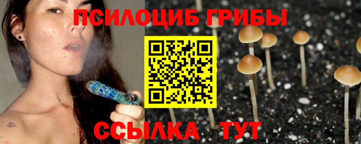 Псилоцибиновые грибы Magic Shrooms Долгопрудный