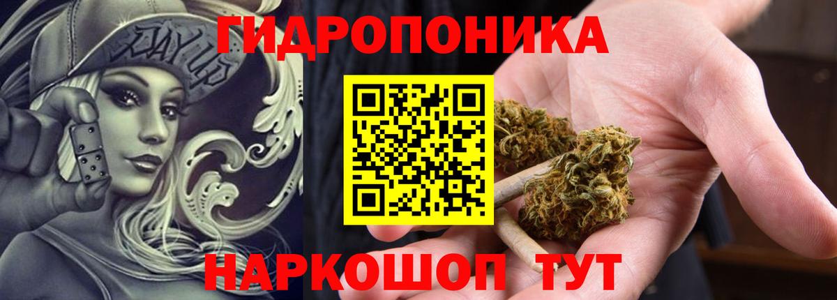 Шишки марихуана MAZAR Долгопрудный